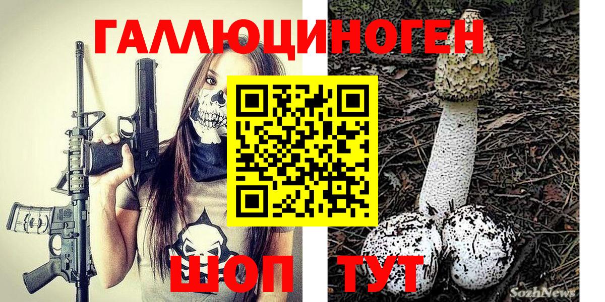 Псилоцибиновые грибы GOLDEN TEACHER  закладка  Шумерля  Вход с VPN 